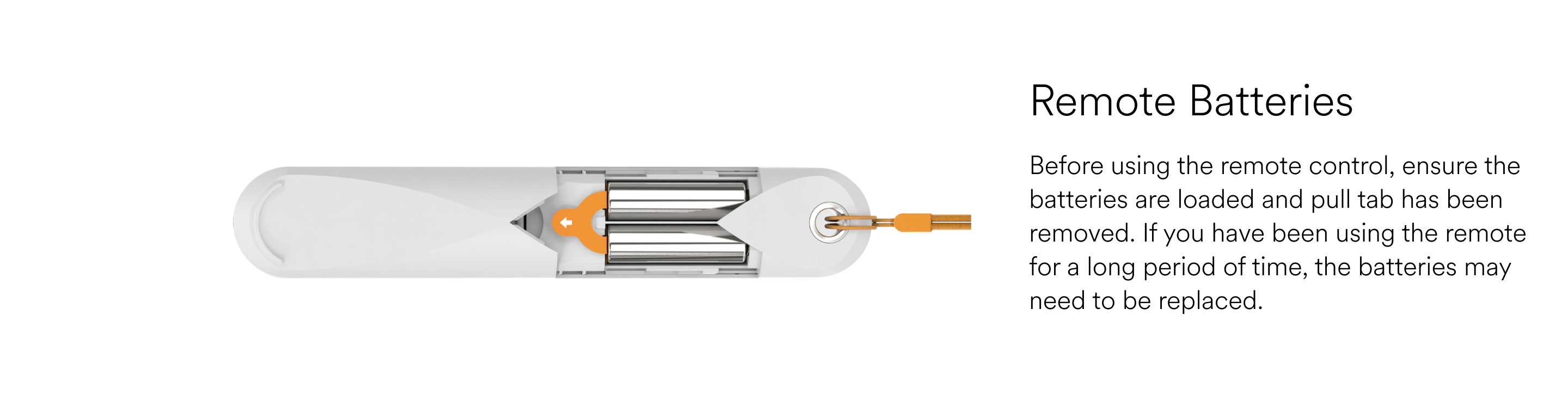 Remote Batteries.png