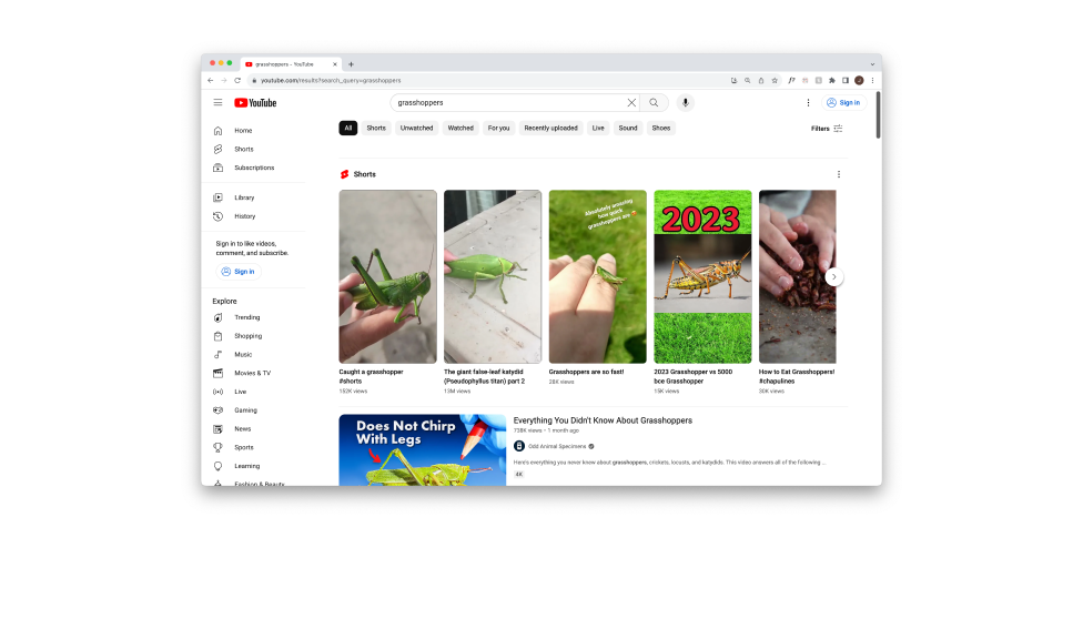 2_SearchYouTube.png
